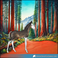 Horse Color:Silver Smoky Black Splash 