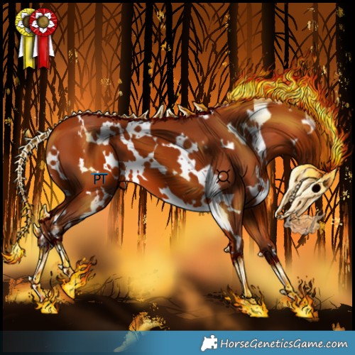 Horse Color:White Spotted Silver Bay 