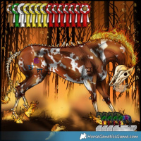 Horse Color:White Spotted Silver Bay 