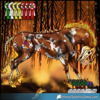 Horse Color:White Spotted Silver Bay 