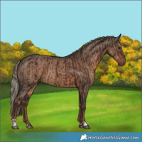 Horse Color:Liver Chestnut  and Liver Red Dun 