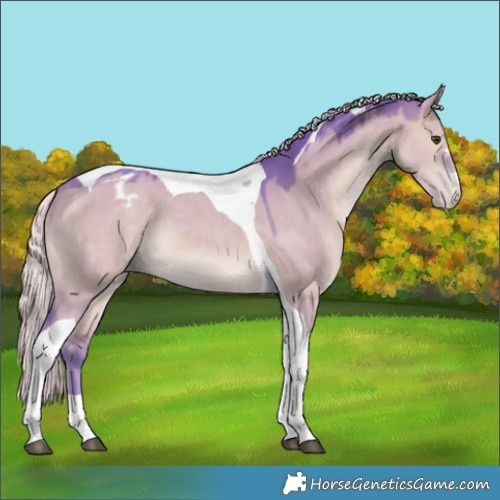Horse Color:Watercolor Silver Brown Dun Tobiano Appaloosa
