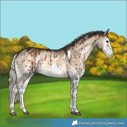 Horse Color:Silver Brown Onyx Sabino Brindle