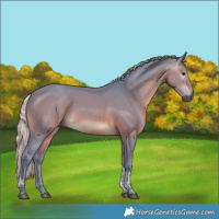 Horse Color:Gray Watercolor Silver Brown Tobiano 