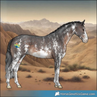 Horse Color:Brown Sabino 