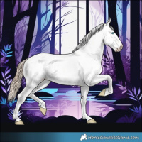 Horse Color:Perlino Dun Sabino Appaloosa 