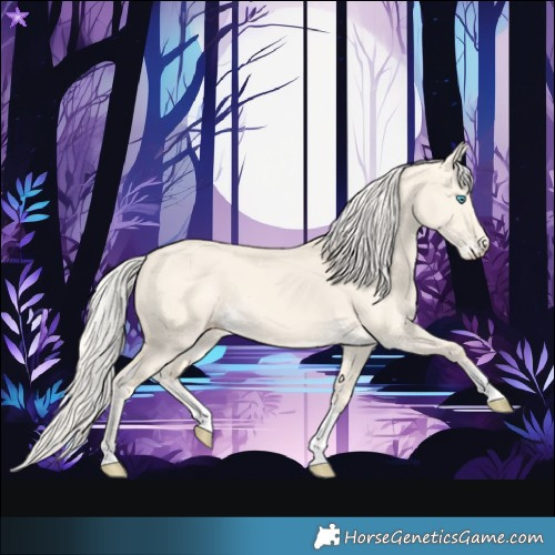 Horse Color:Cremello Dun Tobiano