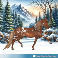 Horse Color:White Spotted Chestnut Rabicano 