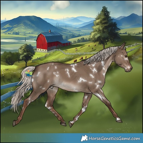 Horse Color:White Spotted Liver Red Dun Mushroom Rabicano 
