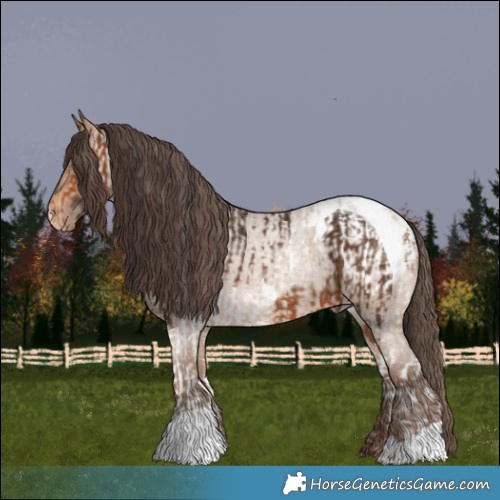 Horse Color:Bay Tobiano  and Amber Champagne Roan Varnish 