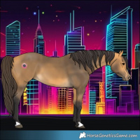 Horse Color:Buckskin 