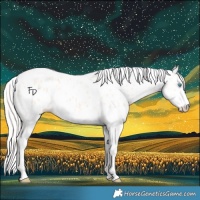 Horse Color:Cremello Leopard 