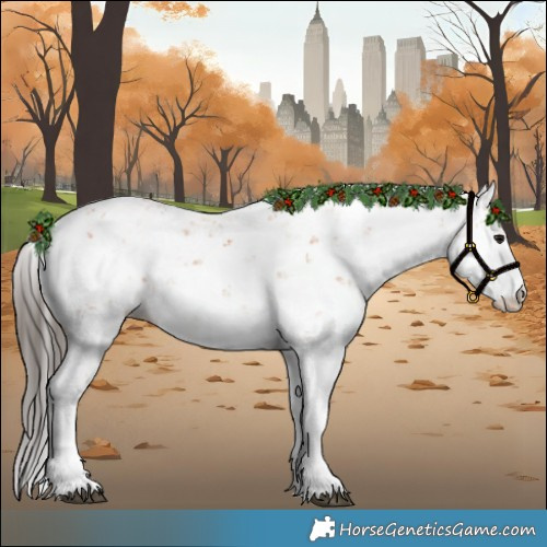 Horse Color:Bay Sabino 