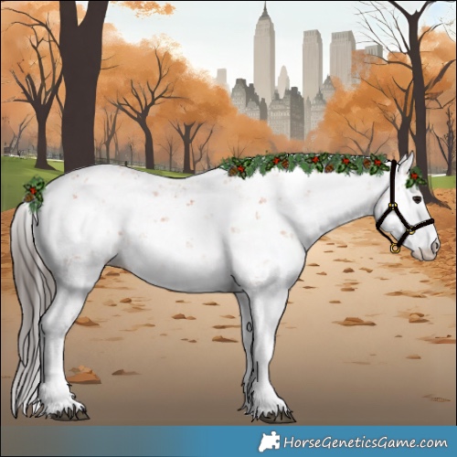 Horse Color:Bay Sabino 