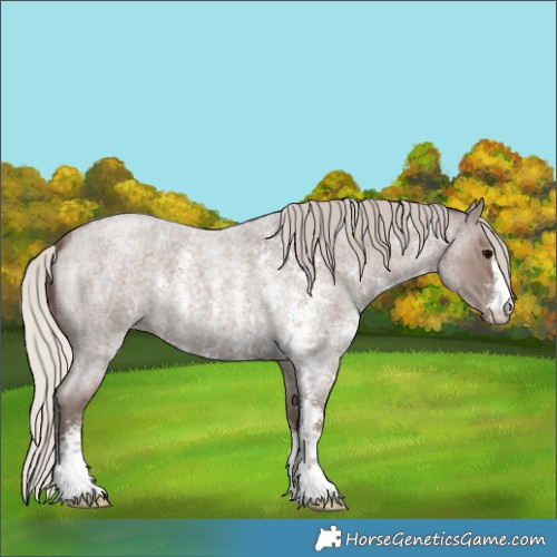 Horse Color:Silver Blue Roan Sabino 
