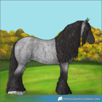Horse Color:Smoky Blue Roan 