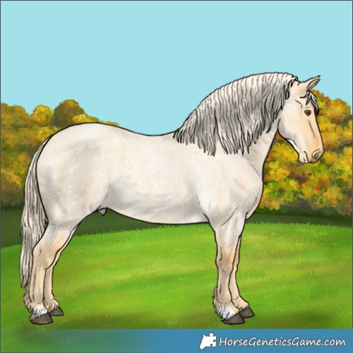 Horse Color:Palomino Roan Dun 