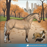 Horse Color:Gray Silver Bay Dun Tobiano