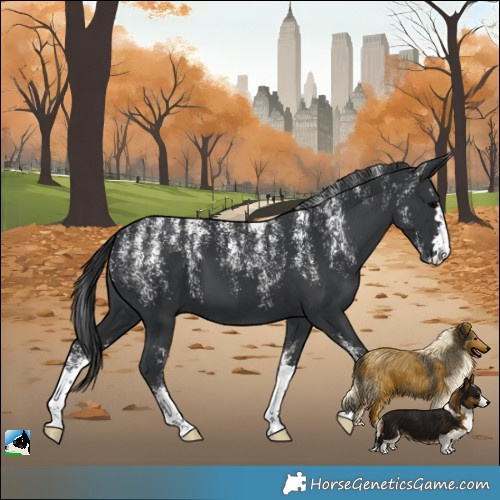 Horse Color:Powder White Black 