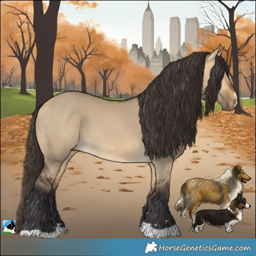 Horse Color:Buckskin Dun 