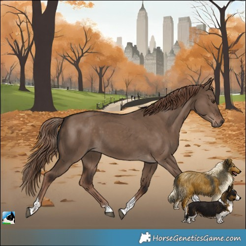 Horse Color:Liver Red Dun Tobiano