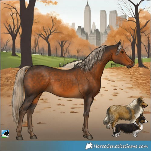 Horse Color:Gray Chocolate Palomino Rabicano 