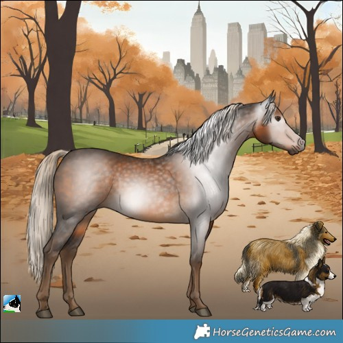 Horse Color:Gray Chocolate Palomino Rabicano