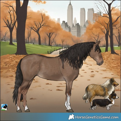 Horse Color:Liver Red Dun Tobiano 