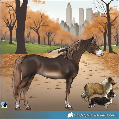 Horse Color:Liver Chestnut Sabino Rabicano