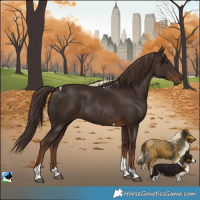 Horse Color:Liver Chestnut Tobiano Rabicano