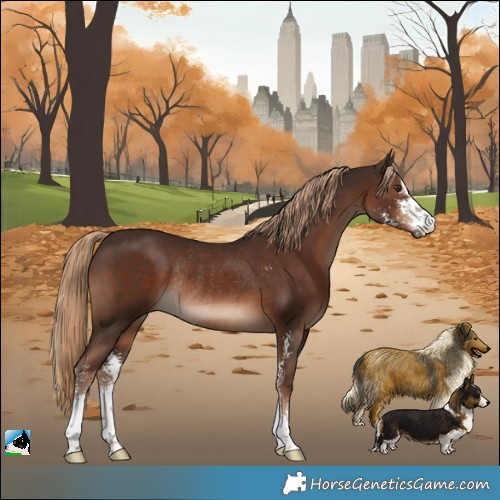 Horse Color:Liver Chestnut Sabino Rabicano