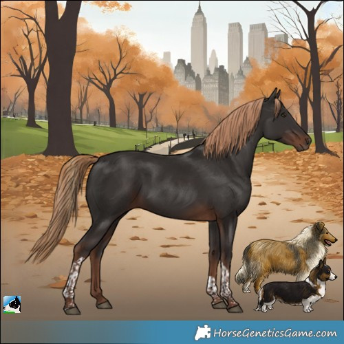 Horse Color:Liver Chestnut Tobiano Rabicano 