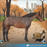 Horse Color:Bay Varnish
