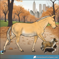 Horse Color:Palomino Dun Rabicano