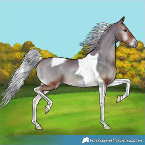 Horse Color:Silver Blue Onyx Tobiano
