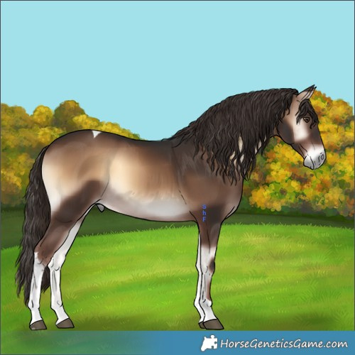 Horse Color:Liver Red Onyx Tobiano 