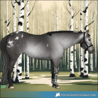 Horse Color:Gray Smoky Black Tobiano Appaloosa