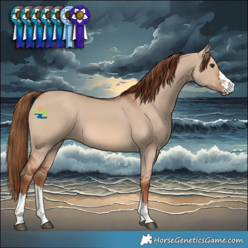 Horse Color:Red Dun 