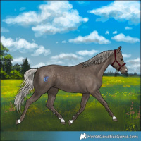 Horse Color:Silver Black 