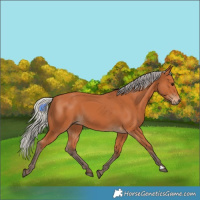 Horse Color:Silver Bay