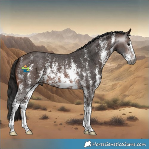 Horse Color:Gray Bay Sabino 
