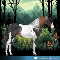 Horse Color:Liver Chestnut Tobiano Rabicano  and Brown Tobiano Rabicano 
