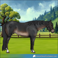 Horse Color:Brown 