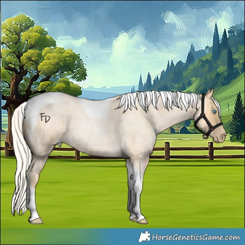 Horse Color:Silver Buckskin Roan Pearl Tobiano 