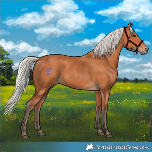 Horse Color:Silver Bay