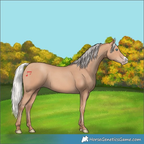 Horse Color:Silver Amber Champagne Frame 