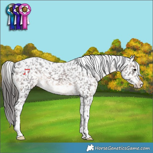 Horse Color:Brown Tobiano Snowflake VarnishRabicano 