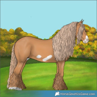 Horse Color:Chestnut Frame 