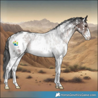 Horse Color:White Spotted Brown Sabino