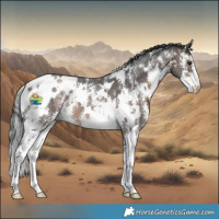 Horse Color:White Spotted Brown Sabino